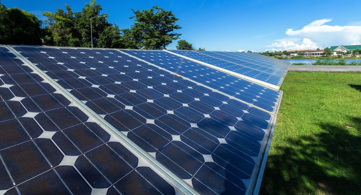 Empleo Mundial en el Sector Energético 2025